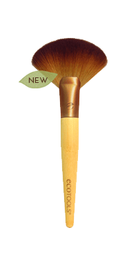 Deluxe_Fan_Brush_50e48529604b7__58134.1362408482.640.640