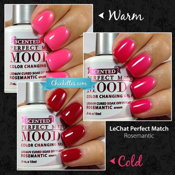 Photos by Chickettes